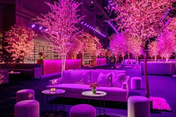 Trees in an outdoor patio space lit with lights to appear pink