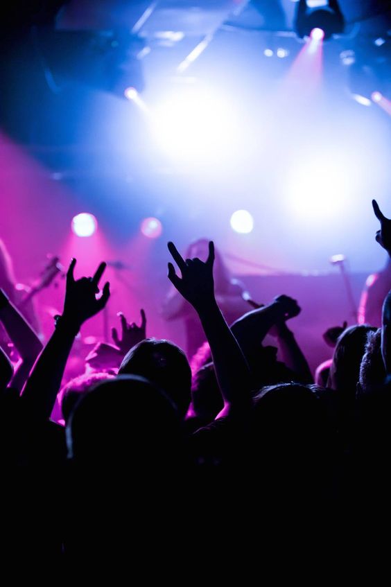 People raising hands at a concert